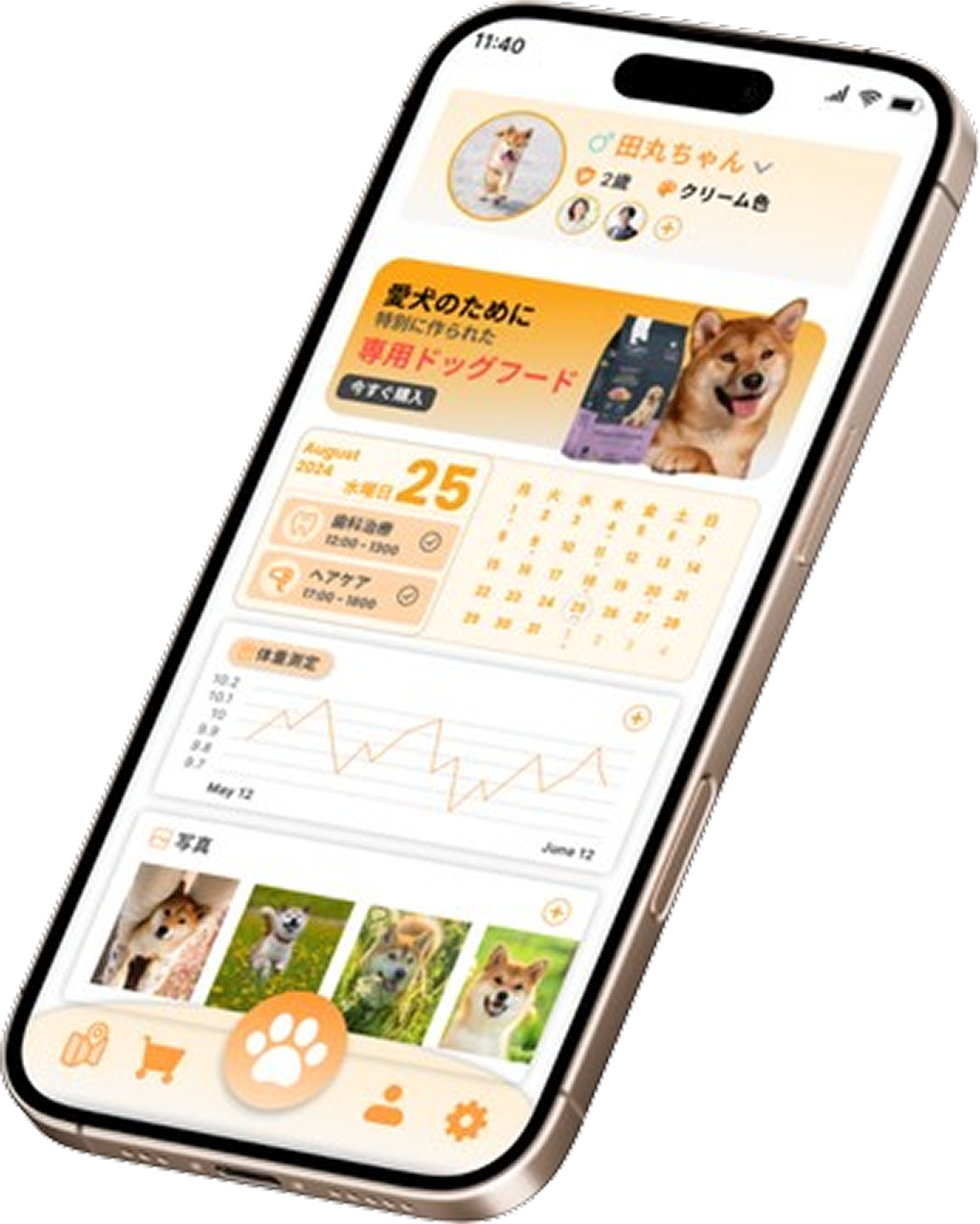 PetChoice subscription box